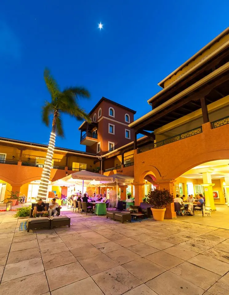 The lounge courtyard aglow at night, palm tree wrapped in lights